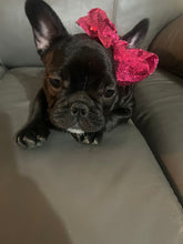 Load image into Gallery viewer, Sweetpea Sparkly Bow