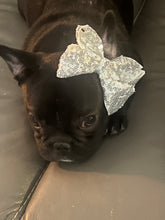 Load image into Gallery viewer, Sweetpea Sparkly Bow