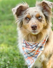 Load image into Gallery viewer, Fall Festival Plaid bandana
