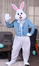 Load image into Gallery viewer, Easter Bunny photos 3/23rd
