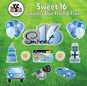 Sweet 16 Birthday Yard Card Sign rental