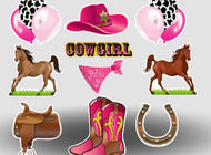 Western Themed Birthday Lawn Sign Rental