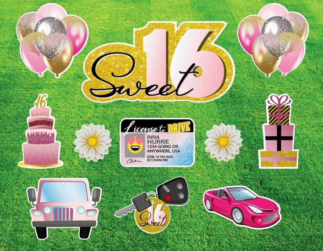 Sweet 16 Birthday Yard Card Sign rental